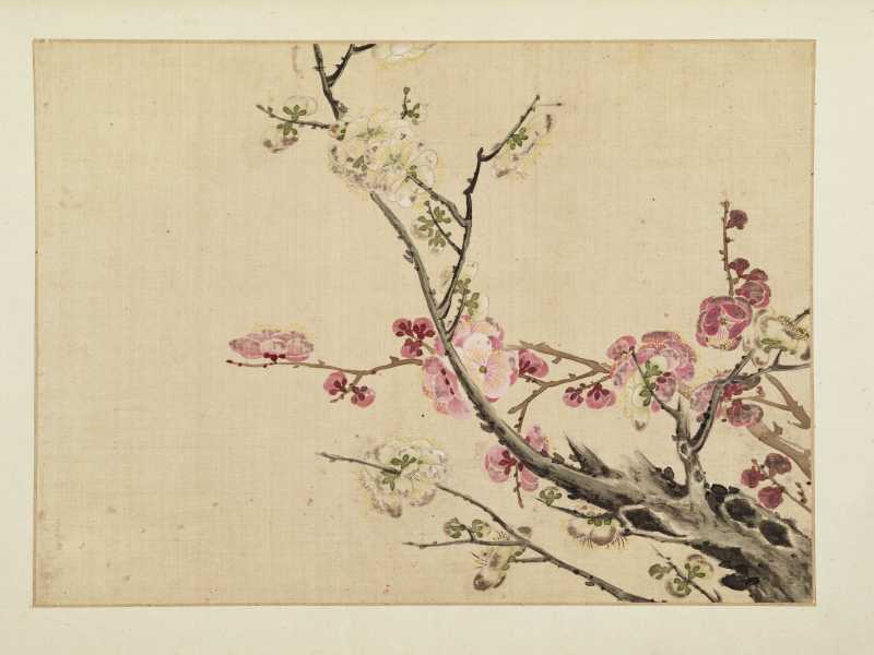 康熙癸巳（1713年）作 马荃（款） 花卉册 - 图3