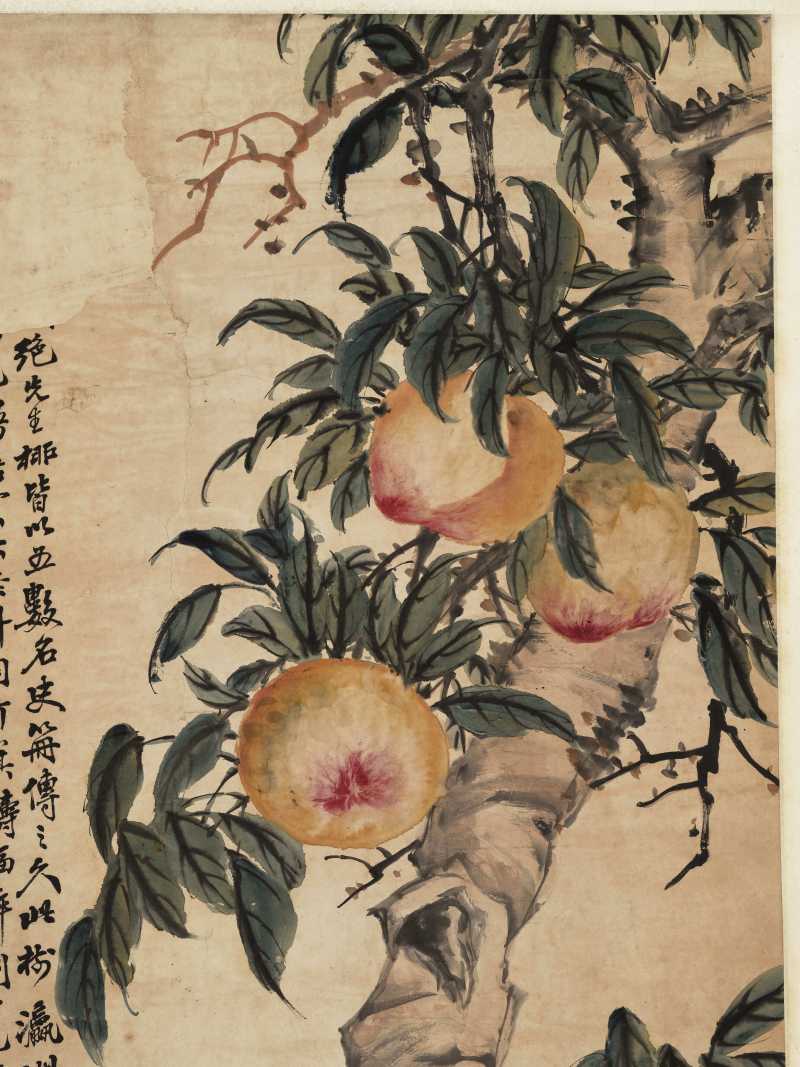 壬申（1932年）作 赵士鸿 五桃图 - 图3