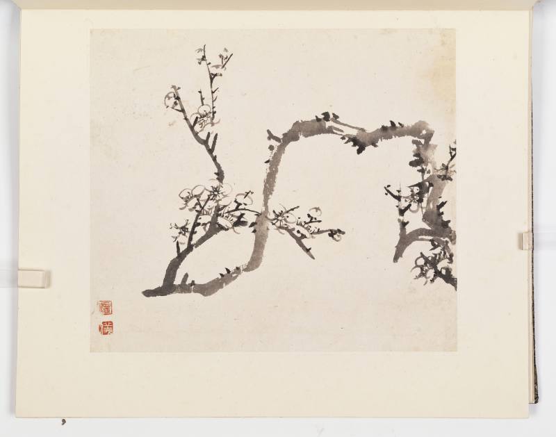 康熙甲子（1684年）作 温仪 梅花册 - 图17