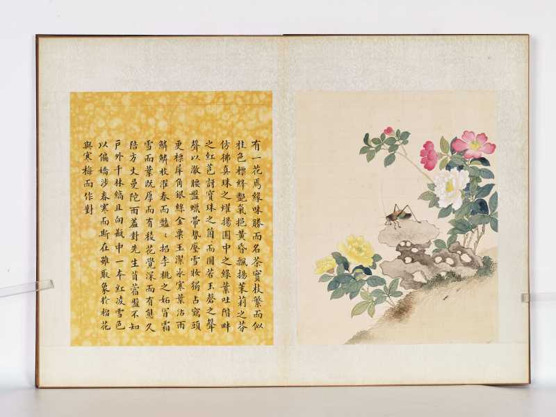 丁酉（1897年）作 梁德润、孙毓汶 花卉草虫册 - 图32