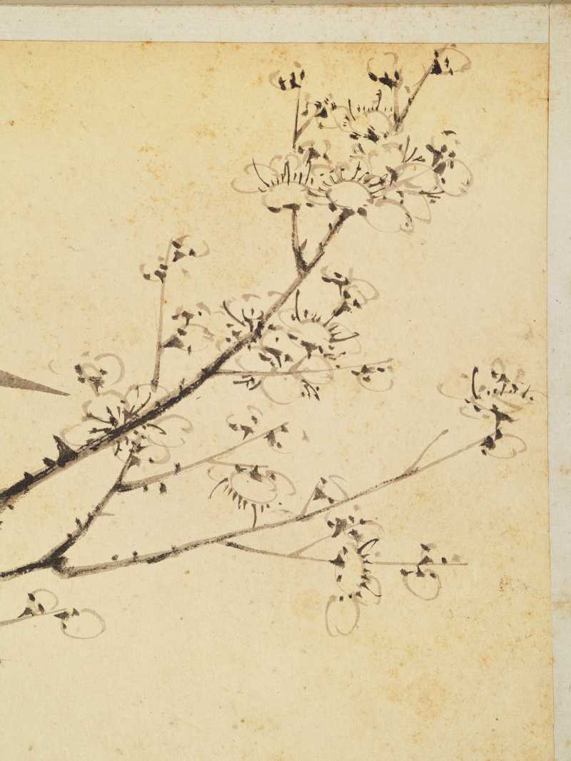 徐六桥 花卉册 - 图27