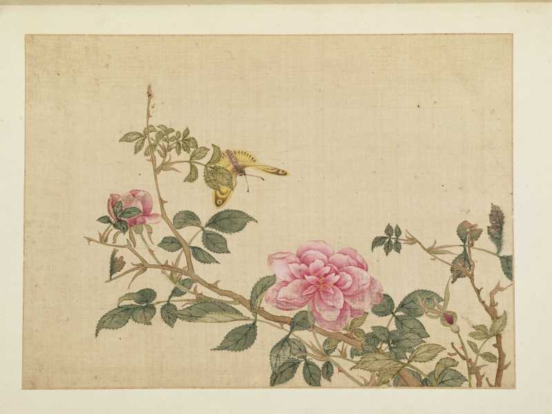 康熙癸巳（1713年）作 马荃（款） 花卉册 - 图4