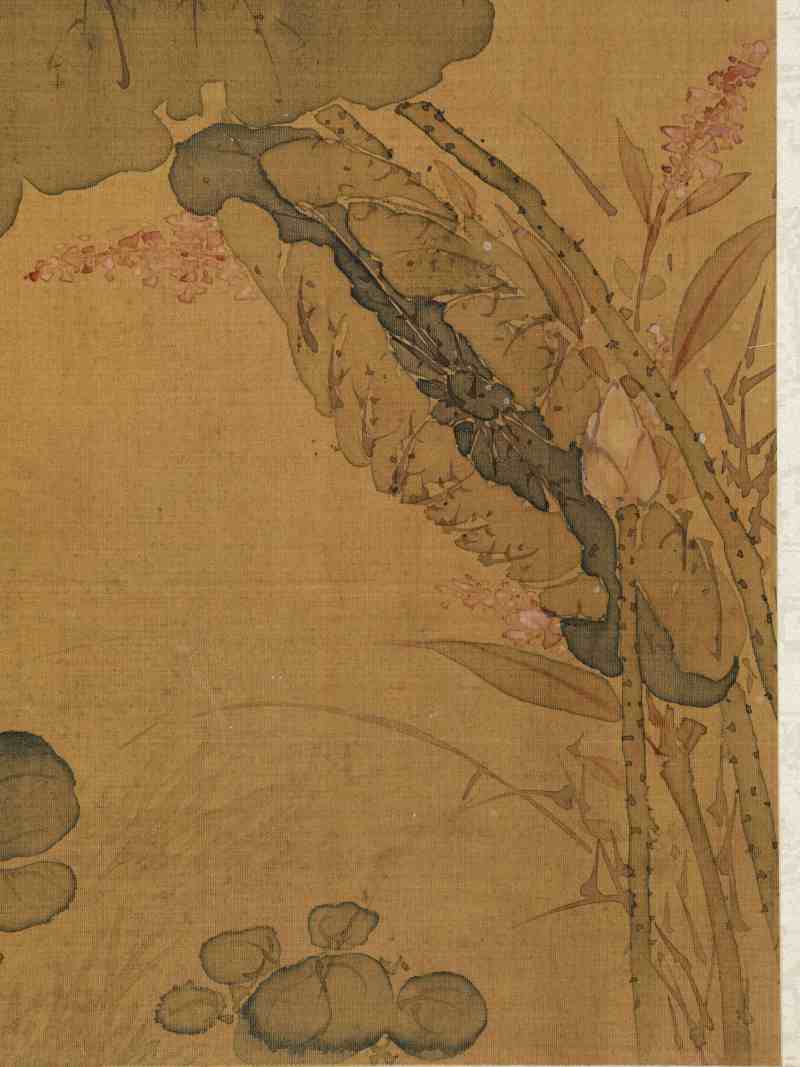 赵源 花鸟册 - 图27