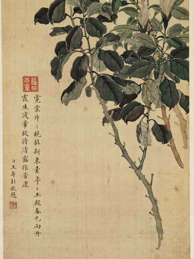 光绪丙午（1906年）作 慈禧（款） 花卉四屏 - 图25