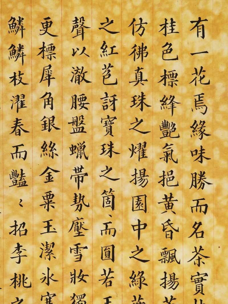 丁酉（1897年）作 梁德润、孙毓汶 花卉草虫册 - 图34