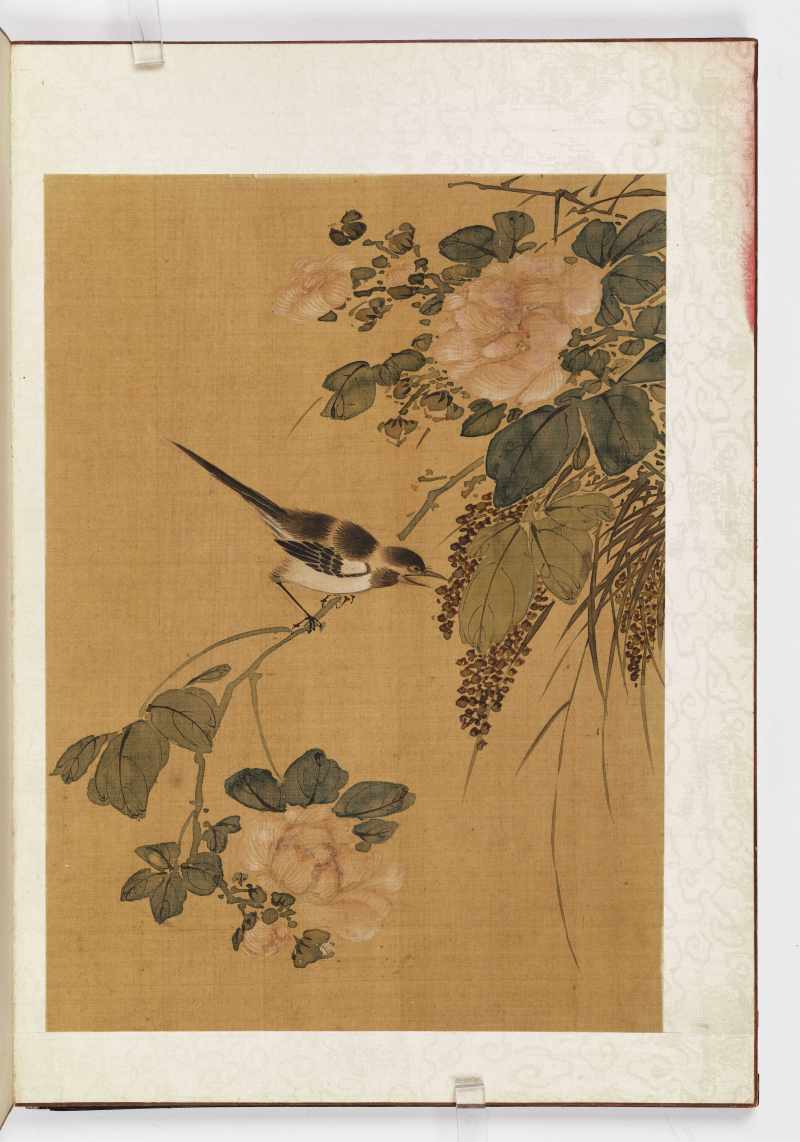赵源 花鸟册 - 图28