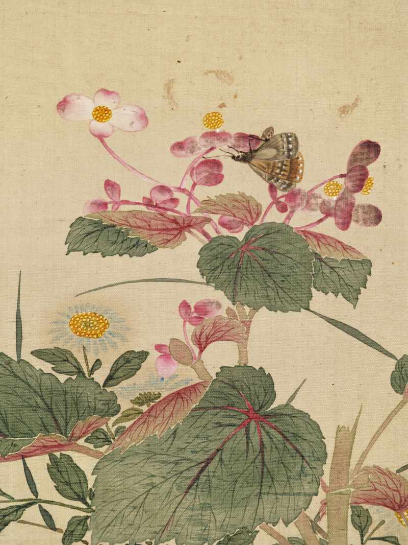 康熙癸巳（1713年）作 马荃（款） 花卉册 - 图6