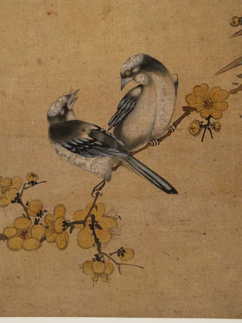 童原 写生花鸟册 - 图34