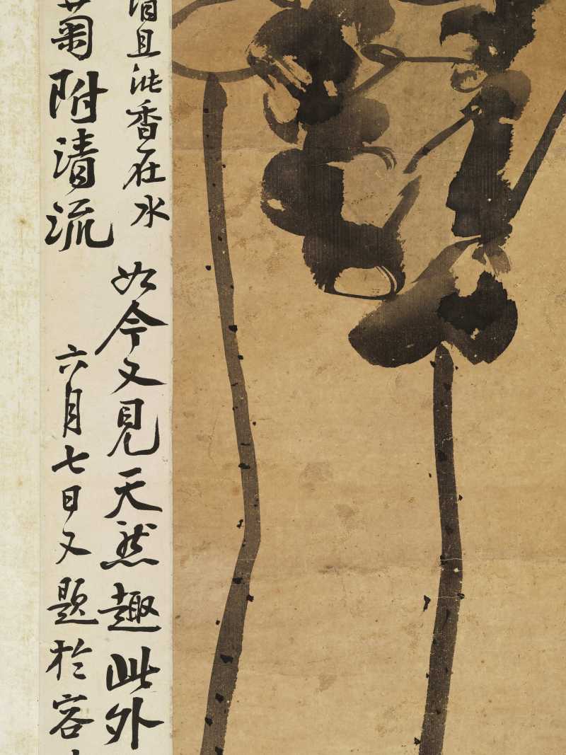 张赐宁 荷花 - 图15