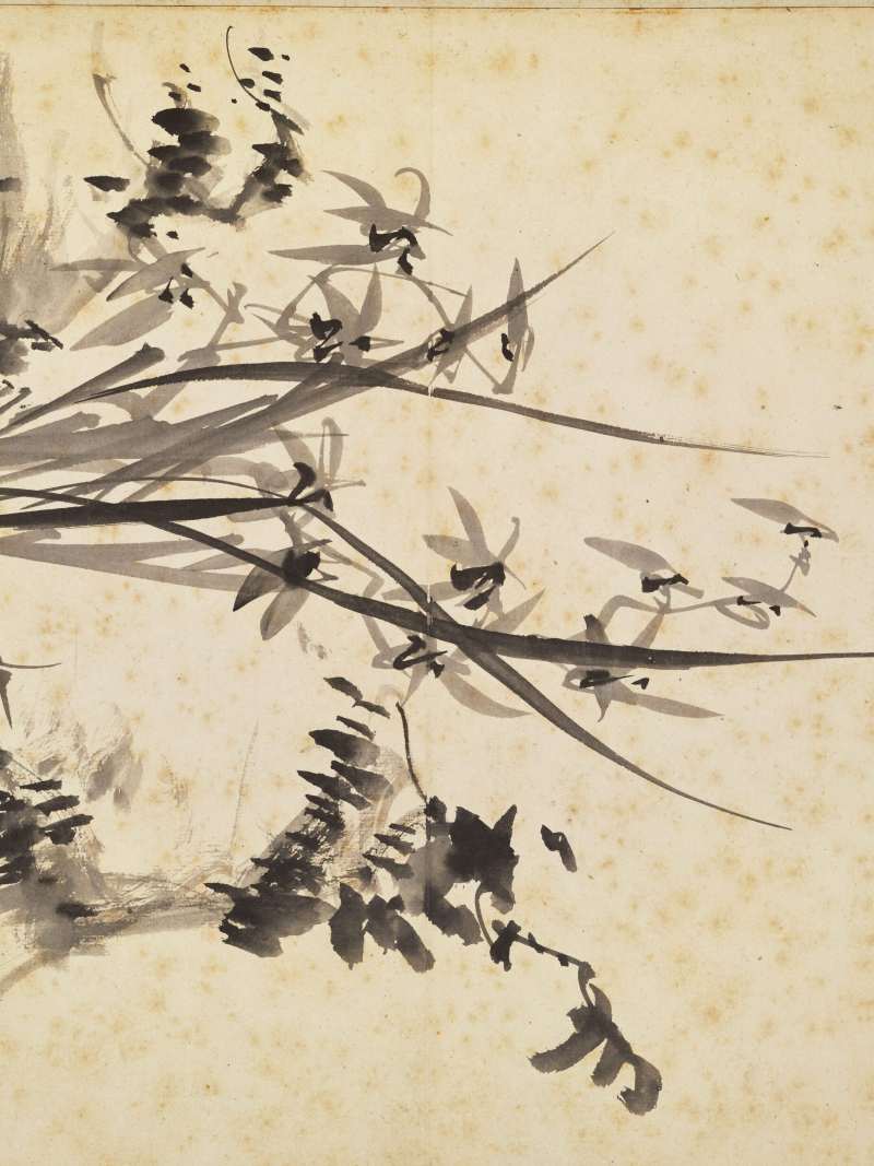 徐六桥 花卉册 - 图30