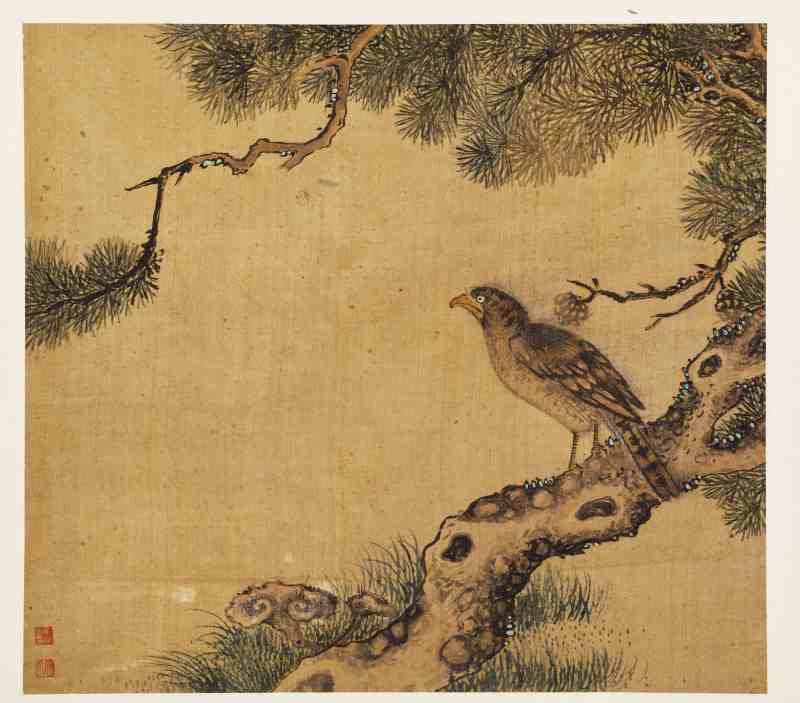 童原 写生花鸟册 - 图35