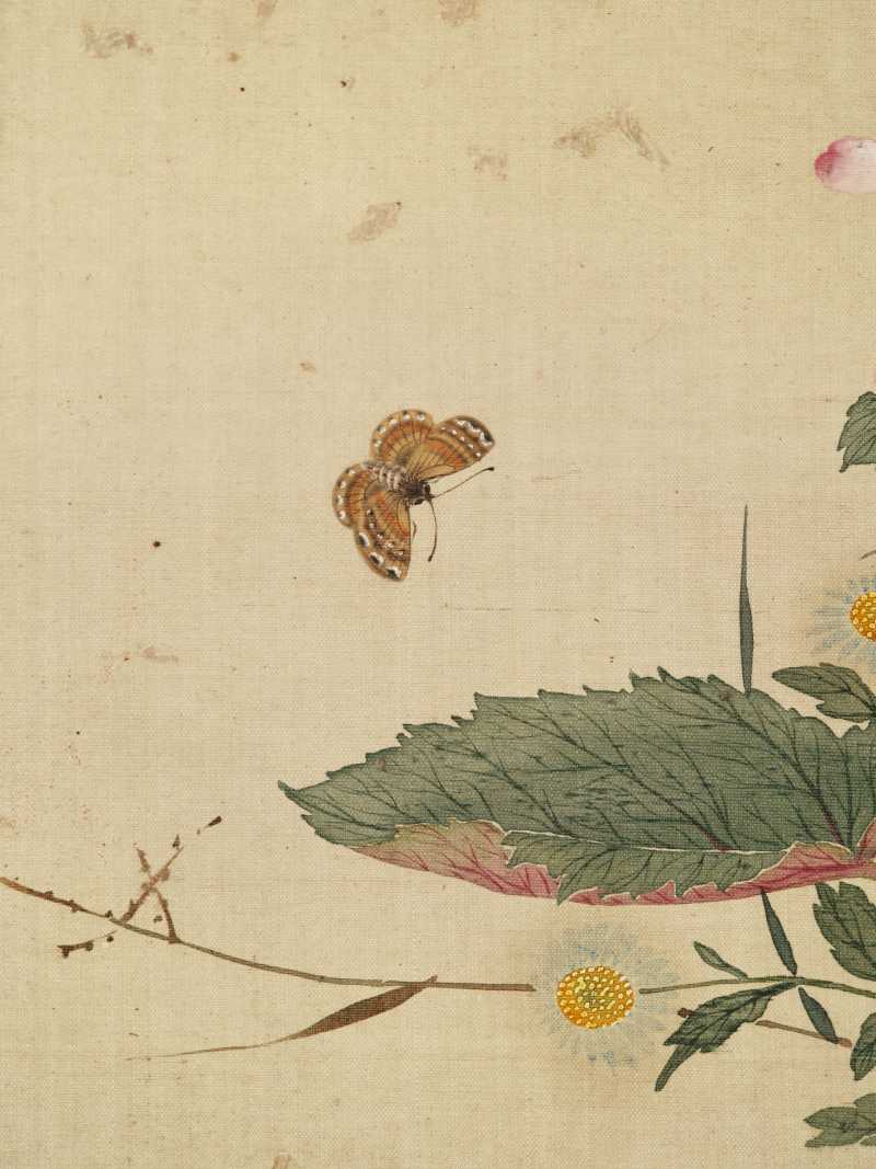 康熙癸巳（1713年）作 马荃（款） 花卉册 - 图7