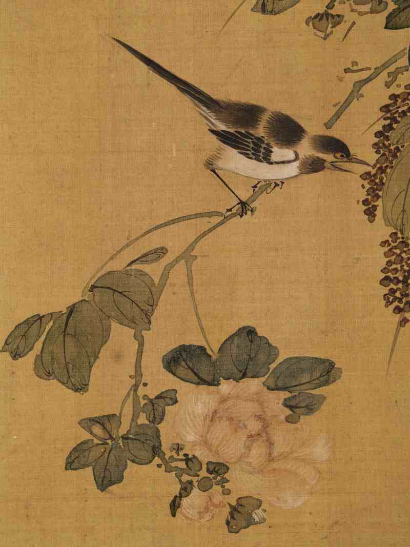 赵源 花鸟册 - 图29