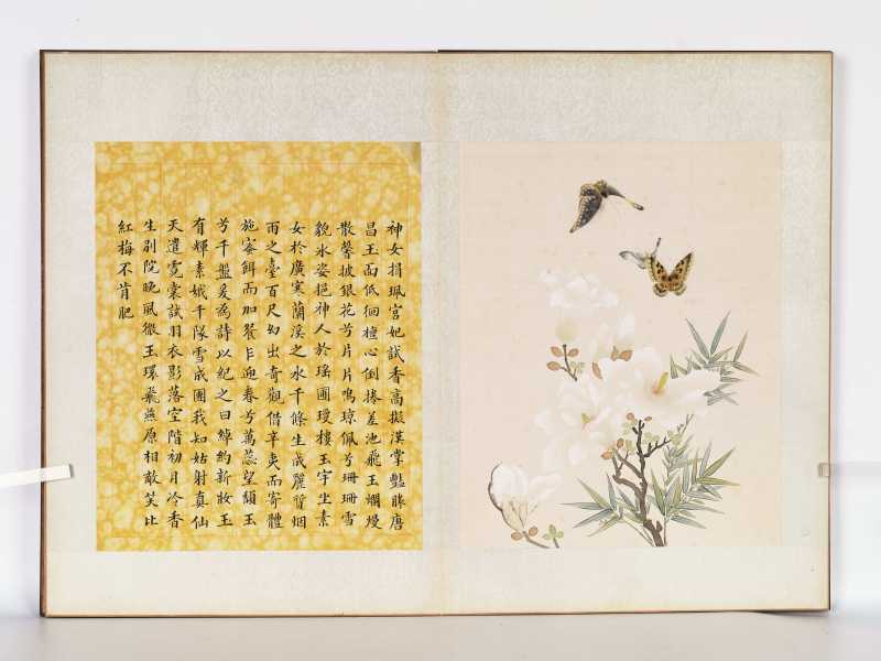 丁酉（1897年）作 梁德润、孙毓汶 花卉草虫册 - 图37