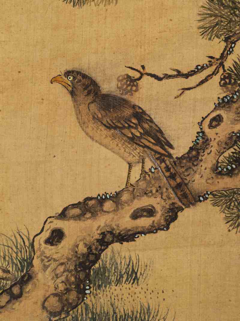 童原 写生花鸟册 - 图36