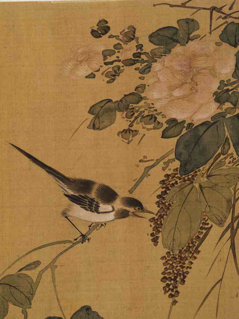 赵源 花鸟册 - 图30