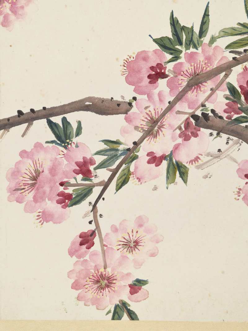 癸丑（1913年）、己卯（1879年）作 王礼、张熊、丁宝书 花鸟三帧 - 图5