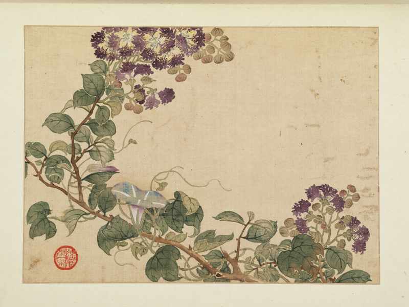 康熙癸巳（1713年）作 马荃（款） 花卉册 - 图10