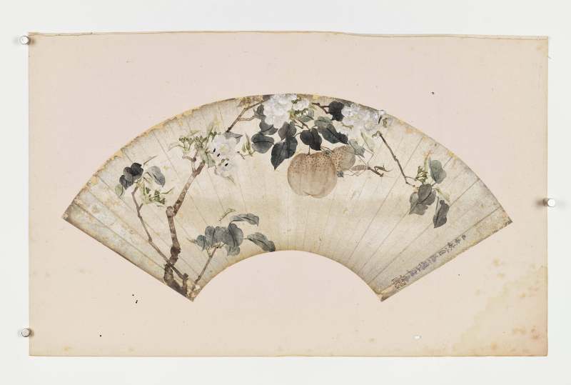 癸酉（1873年）、己亥（1899年）作 居廉 花卉四帧 - 图14