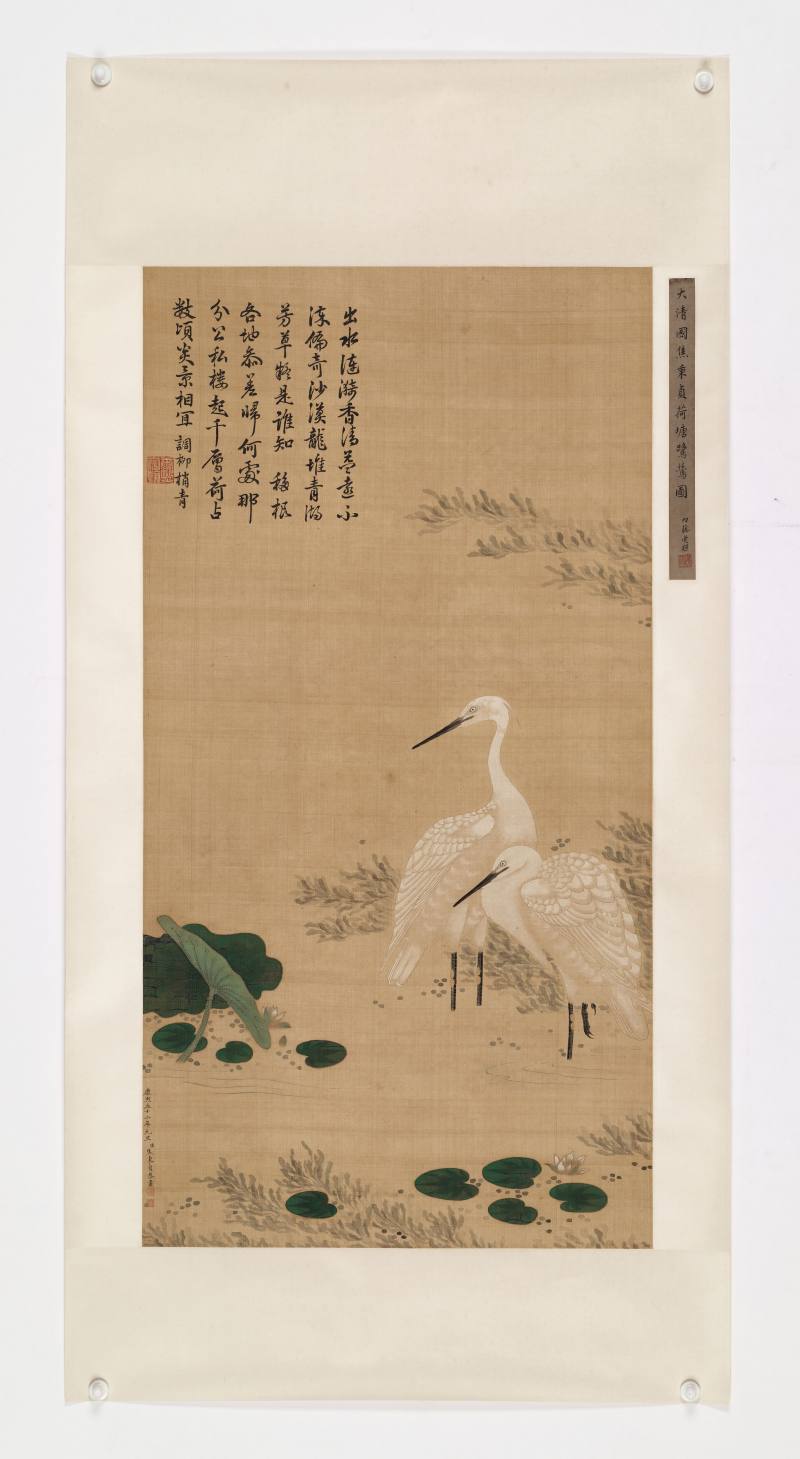 康熙五十二年（1713年）作 焦秉贞（款） 荷塘鹭鸶图 - 图2