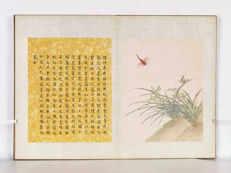丁酉（1897年）作 梁德润、孙毓汶 花卉草虫册 - 图41