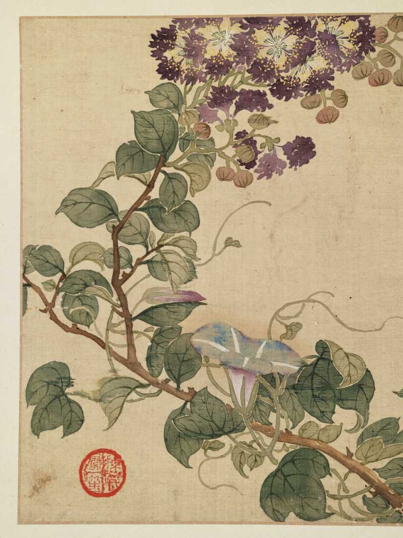 康熙癸巳（1713年）作 马荃（款） 花卉册 - 图11