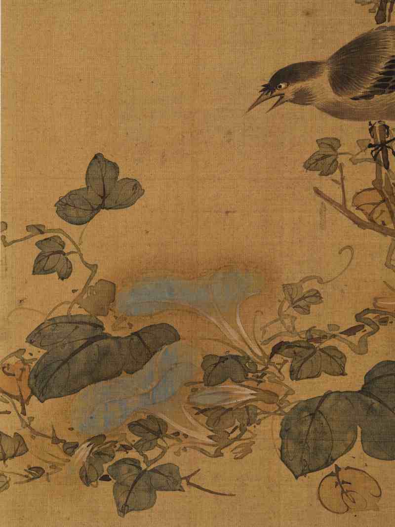 赵源 花鸟册 - 图32