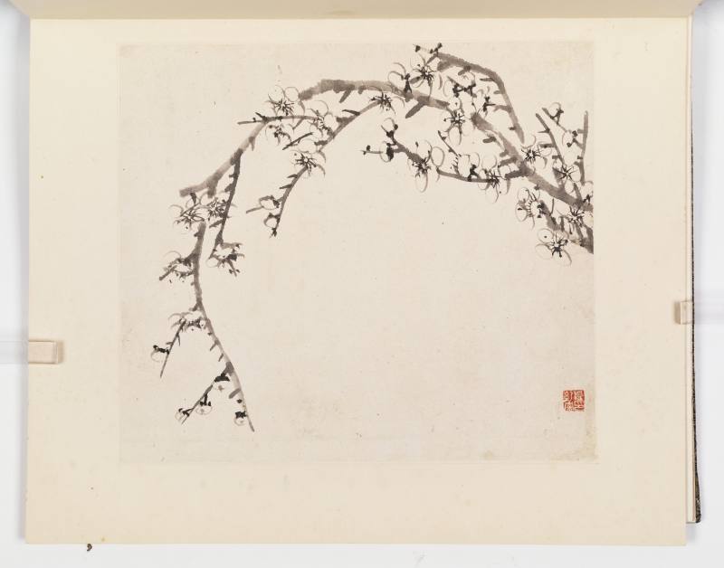 康熙甲子（1684年）作 温仪 梅花册 - 图21