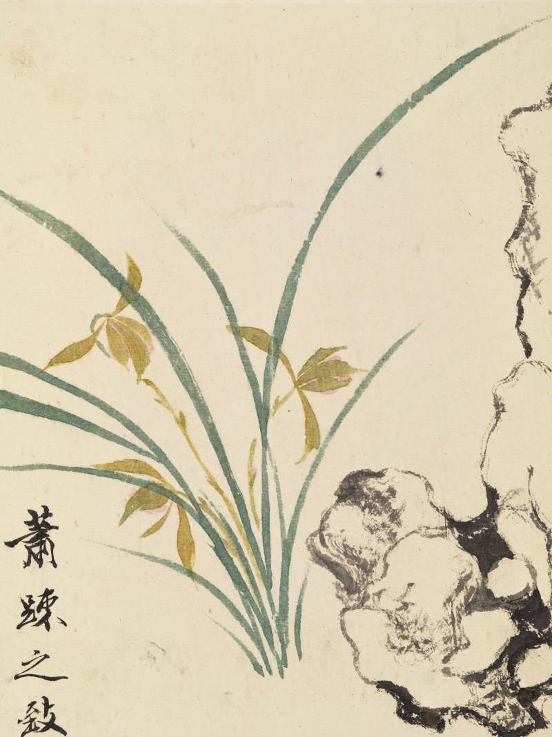 王玉燕 兰石册 - 图12