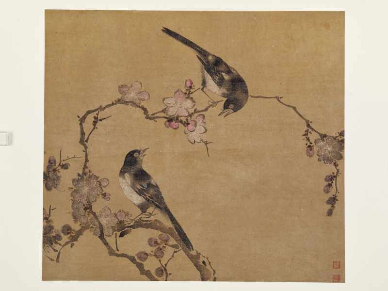 童原 写生花鸟册 - 图25