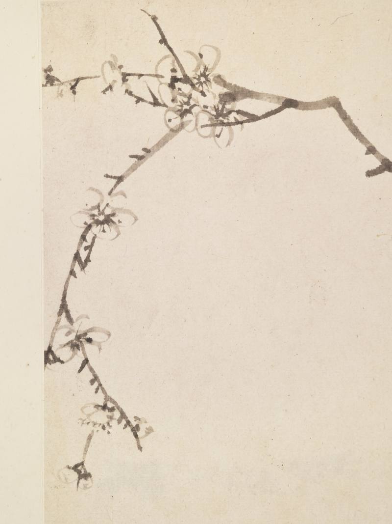 康熙甲子（1684年）作 温仪 梅花册 - 图8
