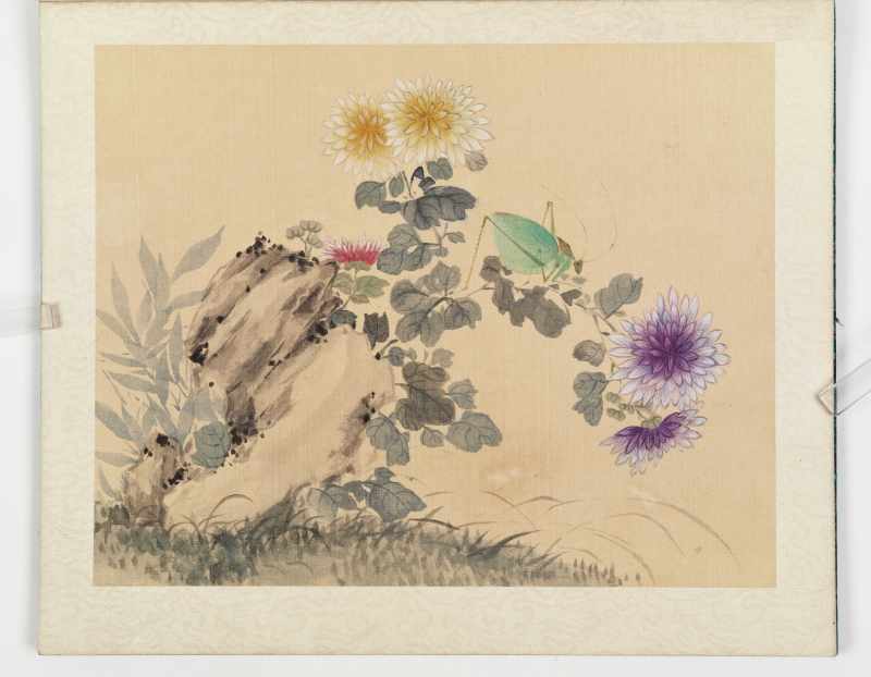 佚名 花鸟册 - 图15