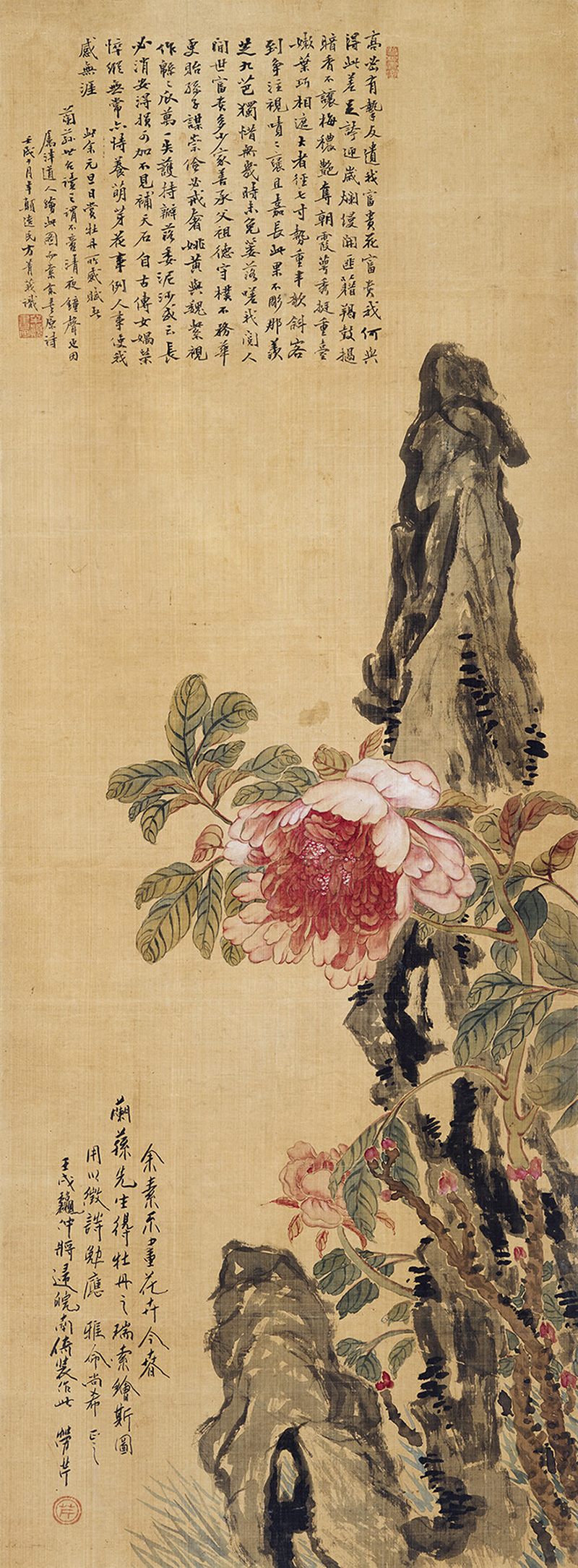 劳芹 牡丹湖石
