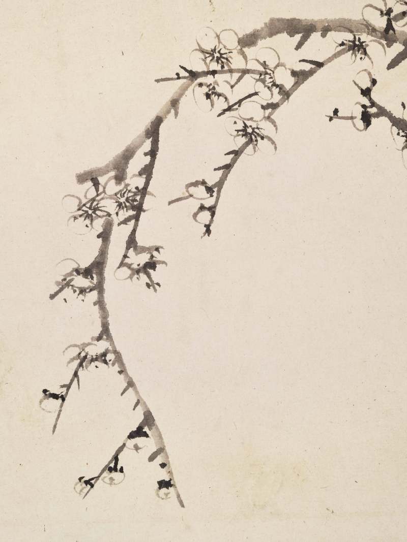康熙甲子（1684年）作 温仪 梅花册 - 图22
