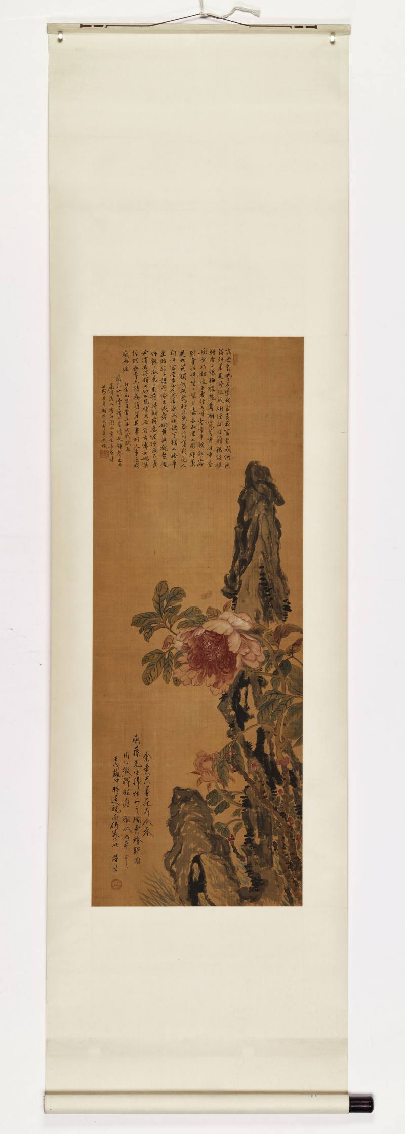 劳芹 牡丹湖石 - 图2