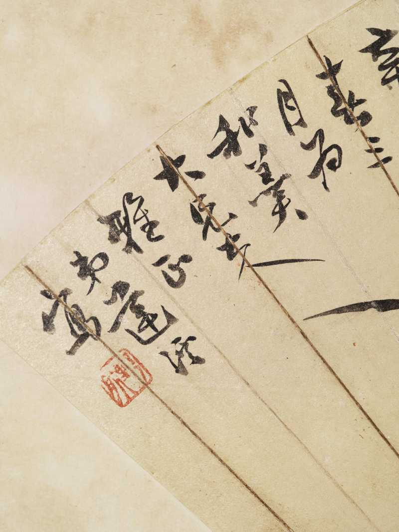 辛巳（1881年）作 莲溪 花卉三帧 - 图12