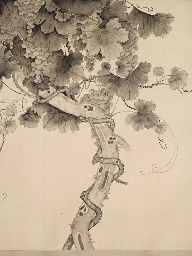 凌海霞 墨葡萄 - 图3