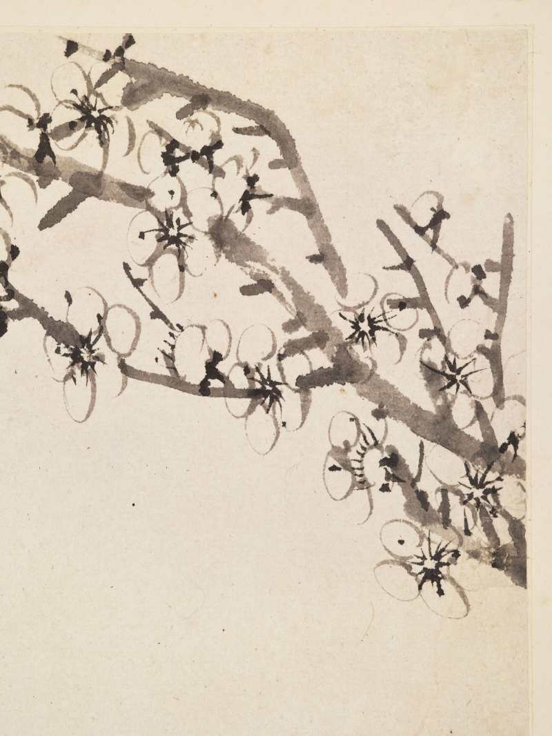 康熙甲子（1684年）作 温仪 梅花册 - 图23