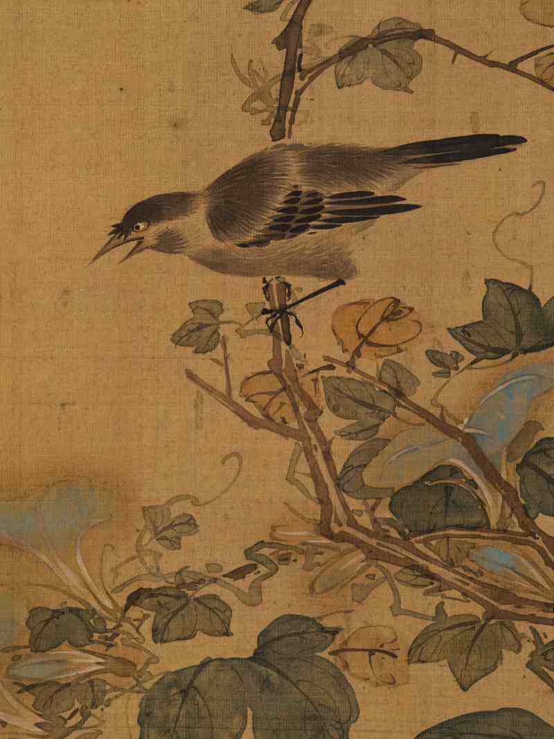 赵源 花鸟册 - 图33