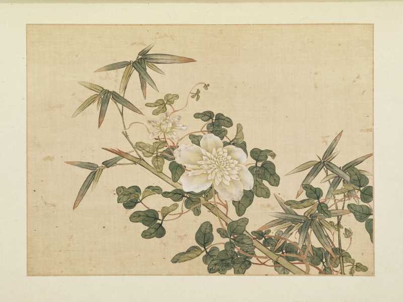 康熙癸巳（1713年）作 马荃（款） 花卉册 - 图14