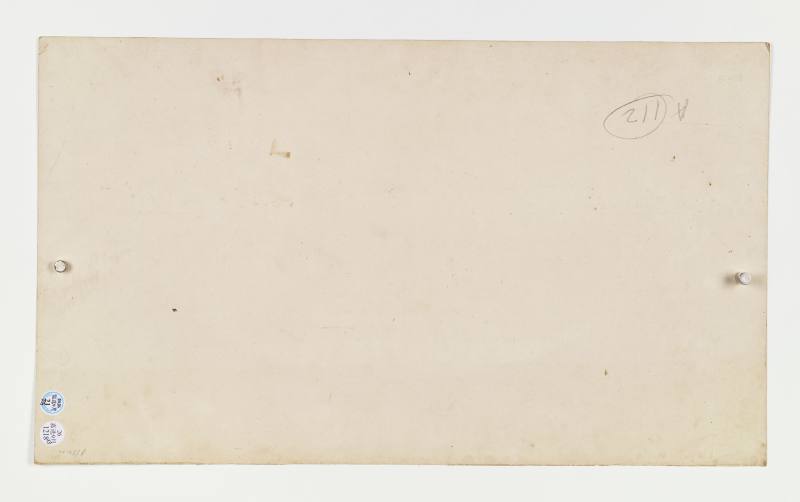 辛巳（1881年）作 莲溪 花卉三帧 - 图13