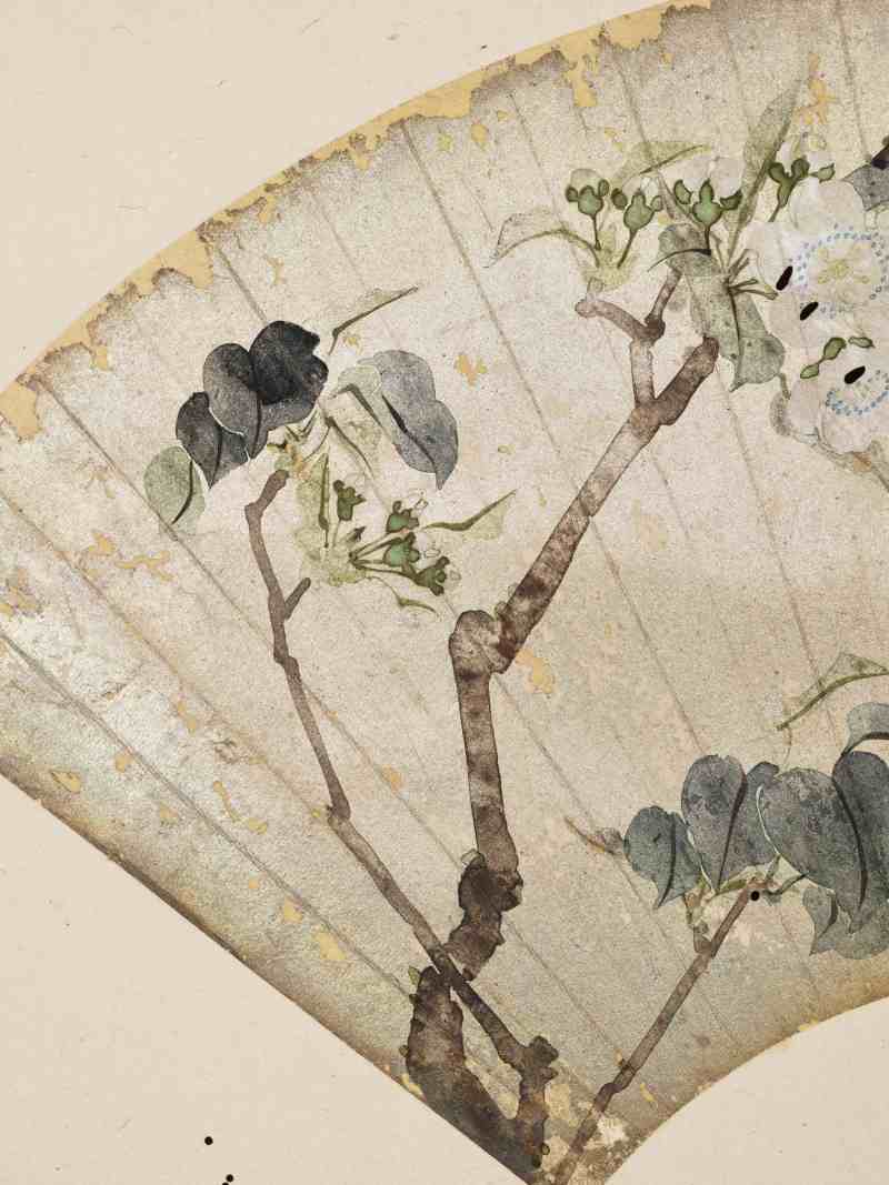 癸酉（1873年）、己亥（1899年）作 居廉 花卉四帧 - 图17