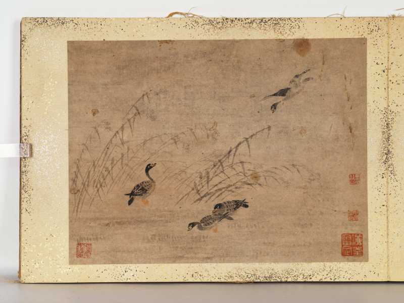 边寿民（款） 芦雁册 - 图10
