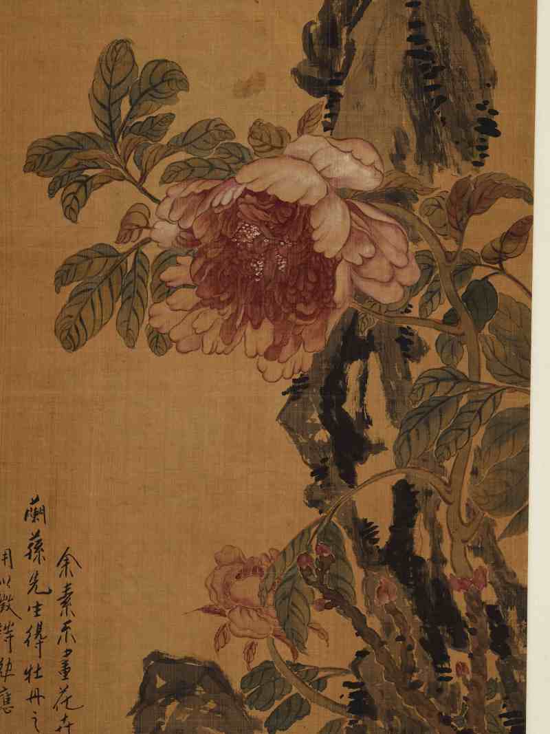 劳芹 牡丹湖石 - 图3