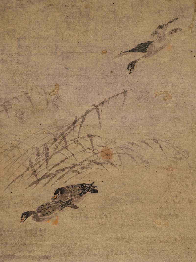 边寿民（款） 芦雁册 - 图11