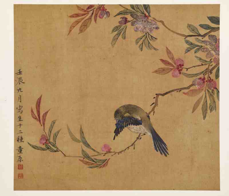 童原 写生花鸟册 - 图41