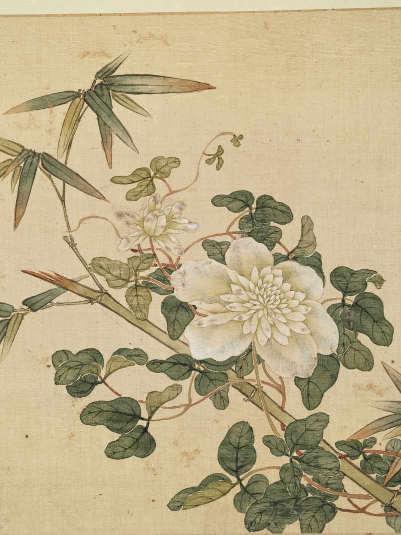 康熙癸巳（1713年）作 马荃（款） 花卉册 - 图15