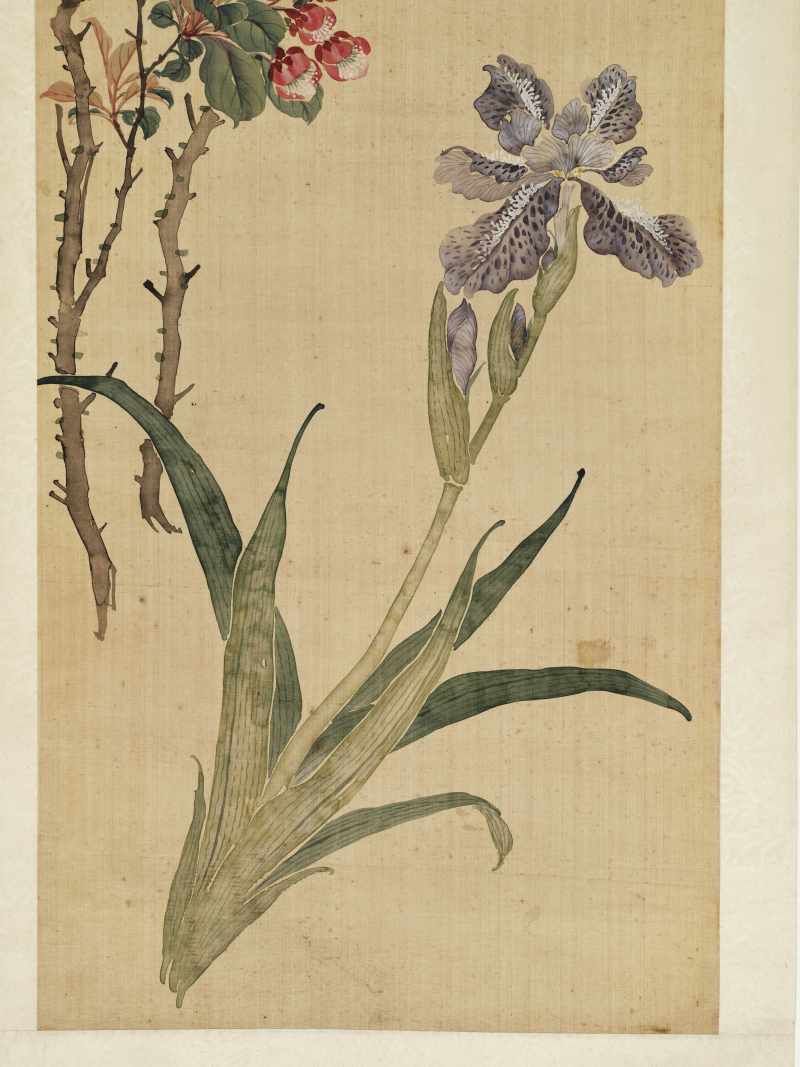 光绪丙午（1906年）作 慈禧（款） 花卉四屏 - 图35