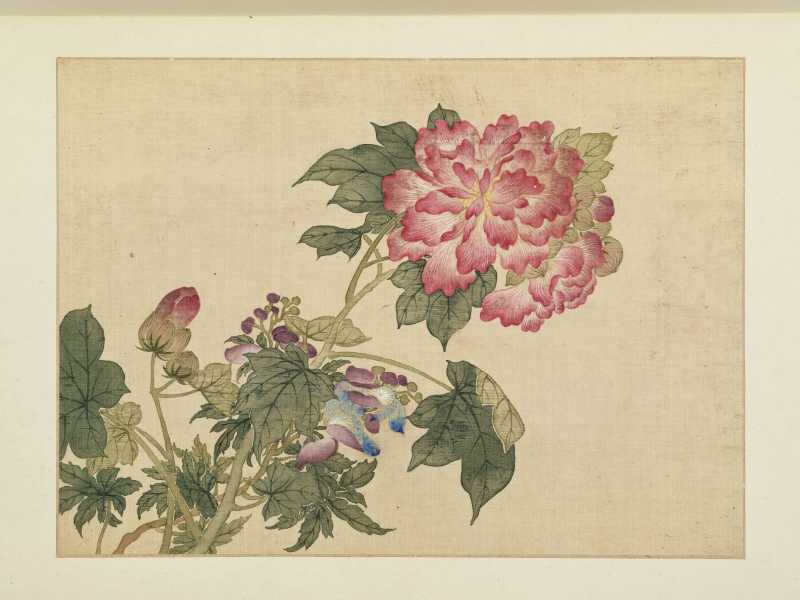 康熙癸巳（1713年）作 马荃（款） 花卉册 - 图17