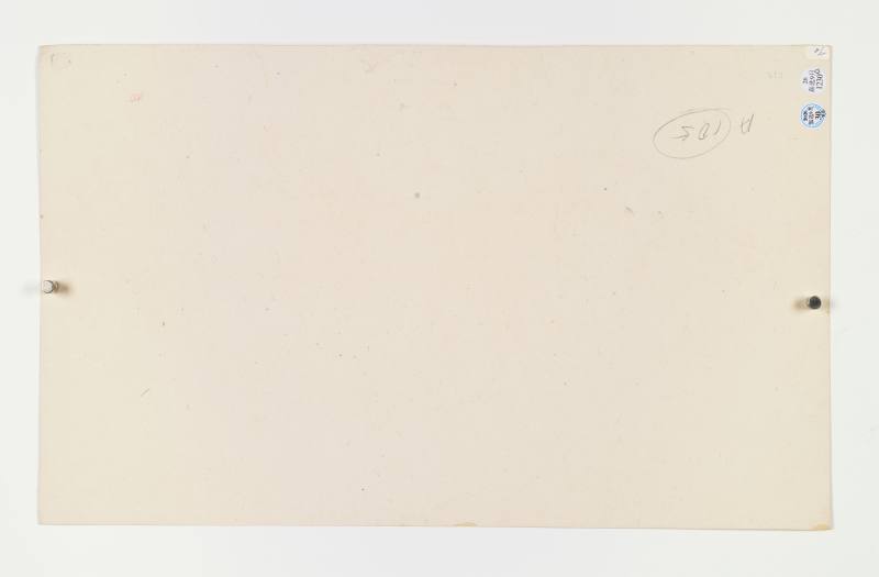 乙亥（1875年）、丁卯（1867年）作 汤世澍 花卉二帧 - 图7